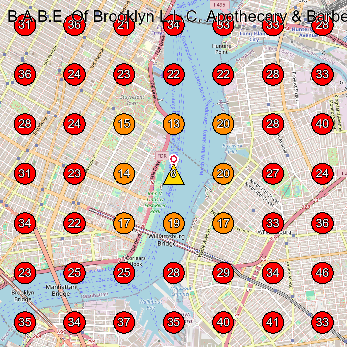 B.A.B.E. Of Brooklyn L.L.C. Apothecary & Barbershop GeoGrid visibility map for Barber Shop in Brooklyn